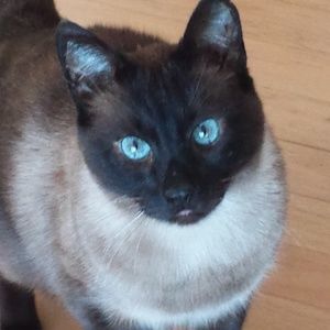 Meet your Posher, Lynda